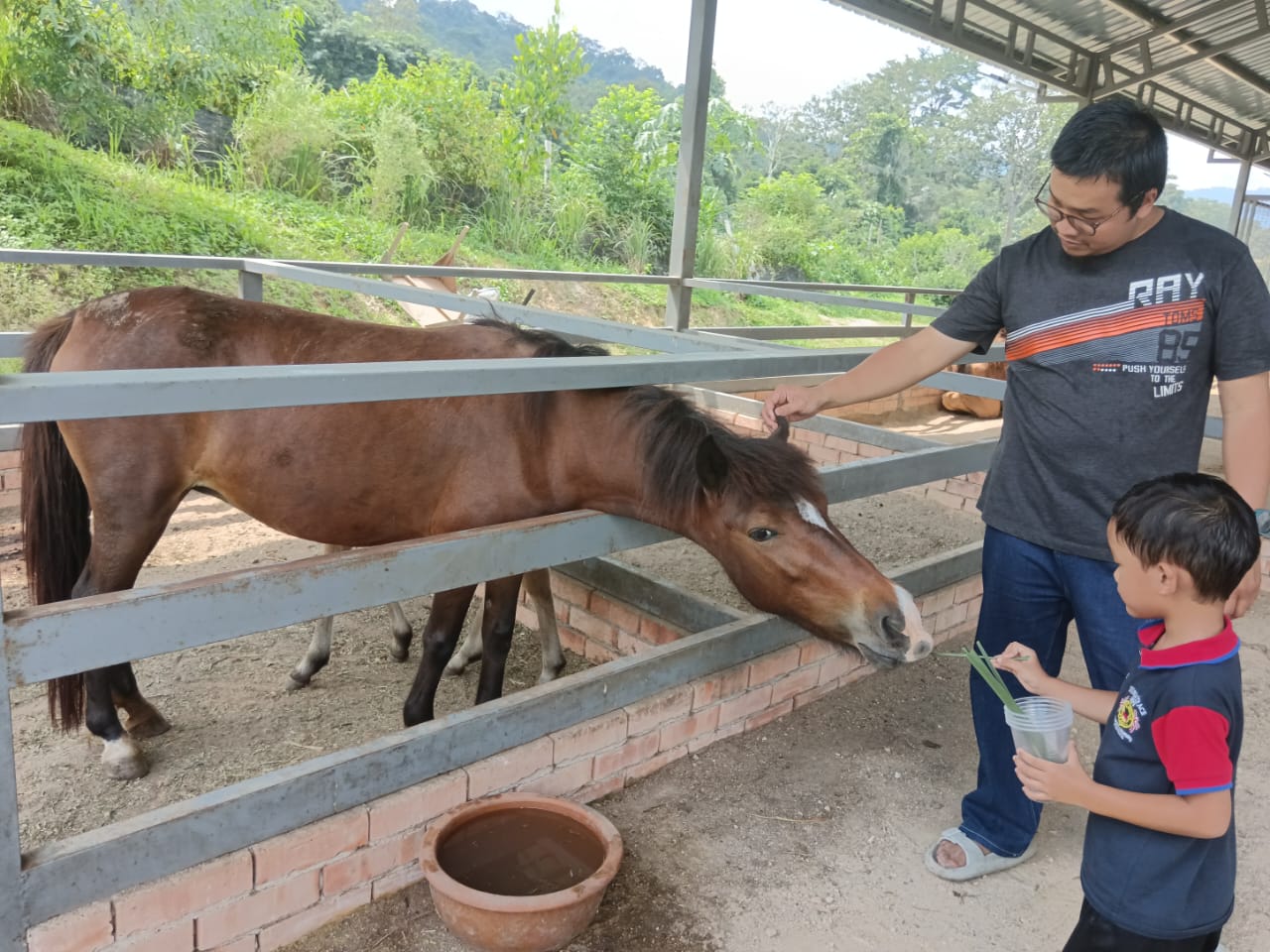 Hijrah Farm & Petting Zoo