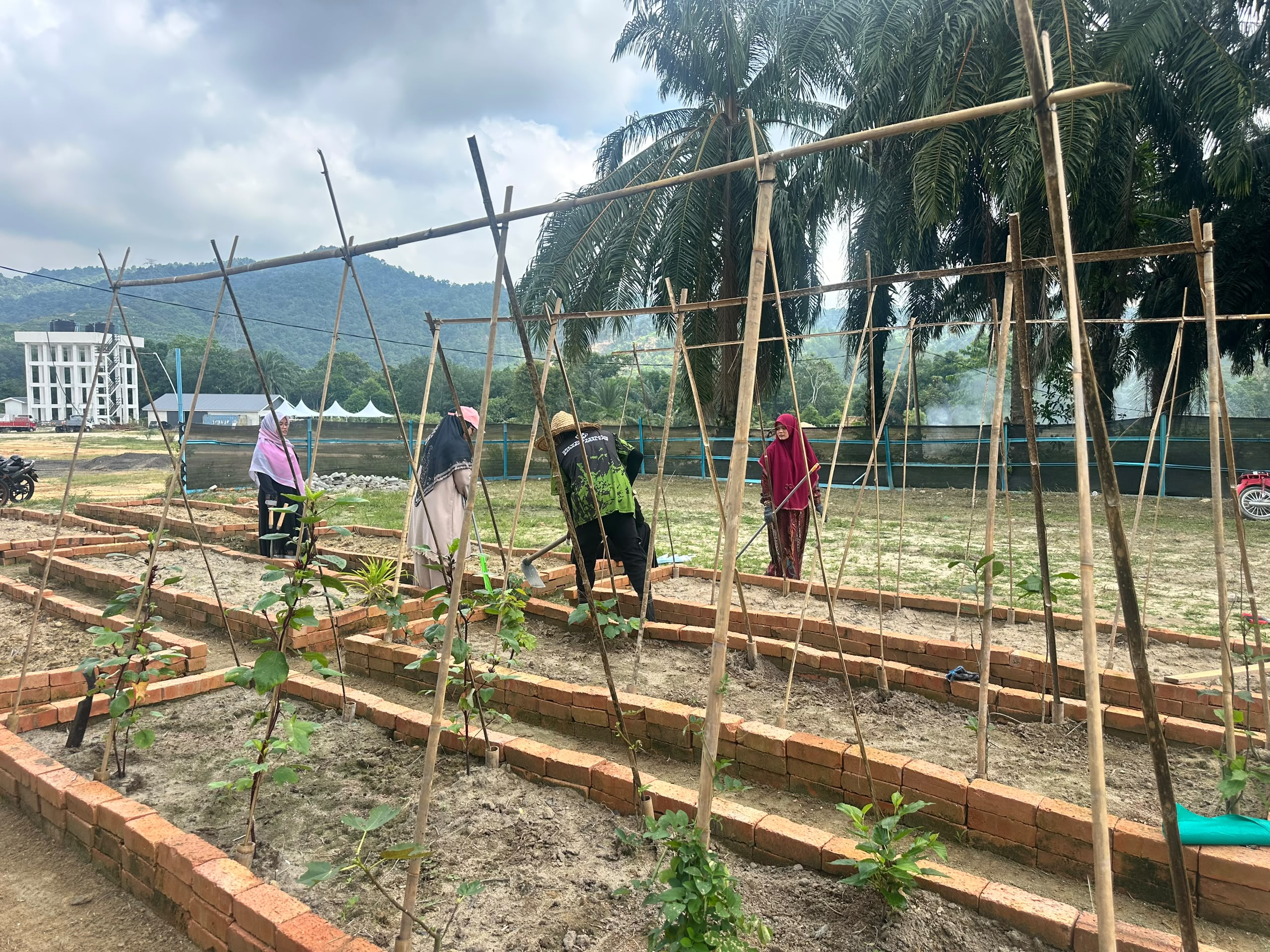 Hijrah Hydro Farm