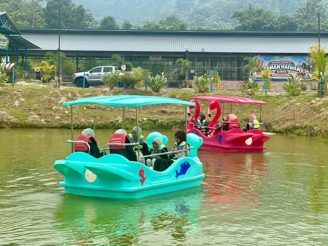 Paddle Boat
